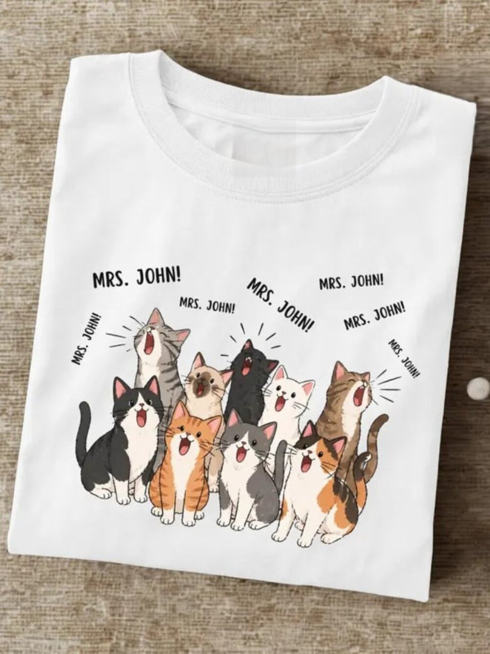 Cat Teacher Shirt, Cute Teacher Tee, Funny Cat Lover Gift